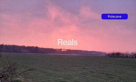 działka na sprzedaż 3000m2 działka Złotopolice