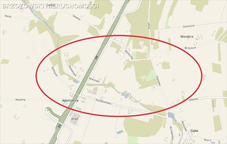 działka na sprzedaż 35000m2 działka Adamowice
