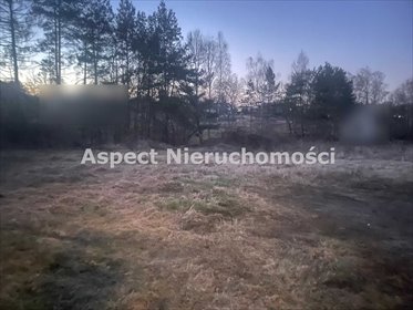 Działka budowlana na sprzedaż Jastrzębie-Zdrój 1 116m2 Foto 3