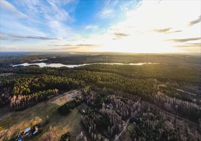 działka na sprzedaż 3300m2 działka Orzyny