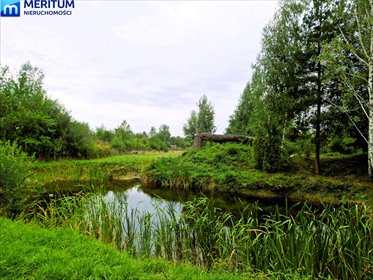 Ekskluzywna posiadłość z basenem i stawem, 1,7 ha dom Budy Michałowskie