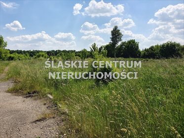 Działka budowlana na sprzedaż Dąbrowa Górnicza, Zielona, Wiejska 21 319m2 Foto 1