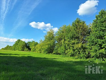 działka na sprzedaż 3000m2 działka Wycześniak