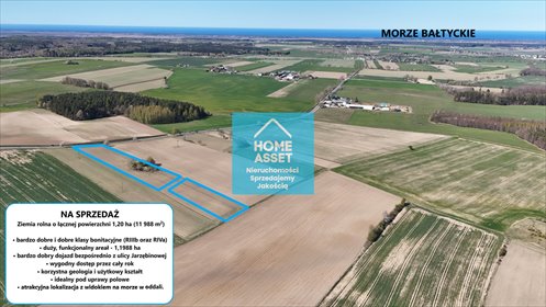 Działka rolna 11 988 m² z widokiem na morze - polecam! działka Sobieńczyce, Jarzębinowa