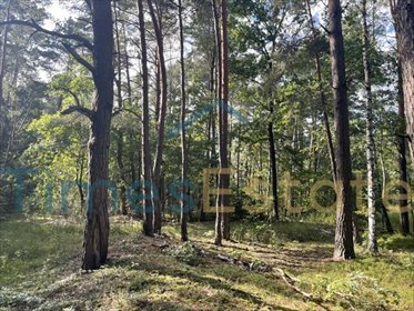 Do sprzedania działki leśne 1540 m² w Radzyminie działka Radzymin, Wróblewskiego