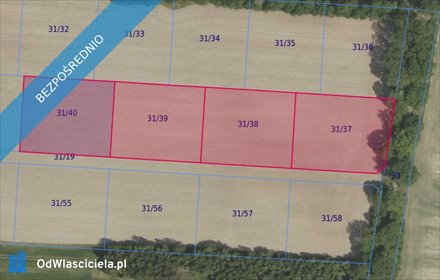 działka na sprzedaż 12176m2 działka Grabowno Wielkie