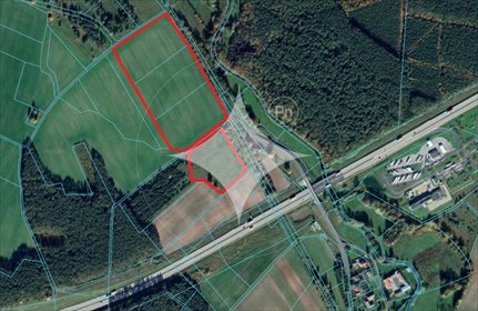 działka na sprzedaż 80900m2 działka Dąbrowa Bolesławiecka