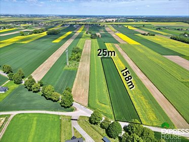 działka na sprzedaż 3971m2 działka Wilczopole-Kolonia, Żurawinowa