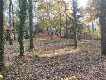 działka na sprzedaż 1499m2 działka Dąbrowa