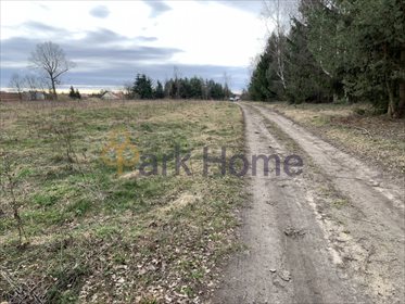 Działka budowlana na sprzedaż Dębno 36 000m2 Foto 7
