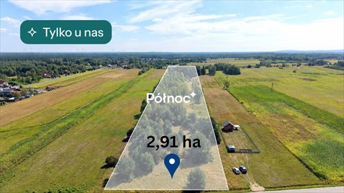 Działka rolna 2,91 ha w Żurawiu, cisza i jurajski klimat! polecam! działka Żuraw