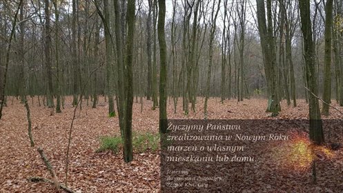 działka na sprzedaż 5800m2 działka Samoklęski