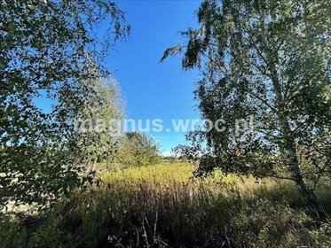 działka na sprzedaż 3423m2 działka Miłoszyce, Brzozowa