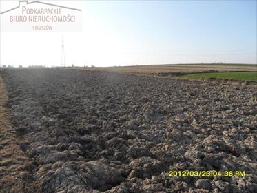 Działka budowlana na sprzedaż Wysoka Strzyżowska 1 900m2 Foto 1
