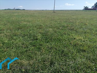 Działka rolna na sprzedaż Łączka, Wierzbowa 20 000m2 Foto 6