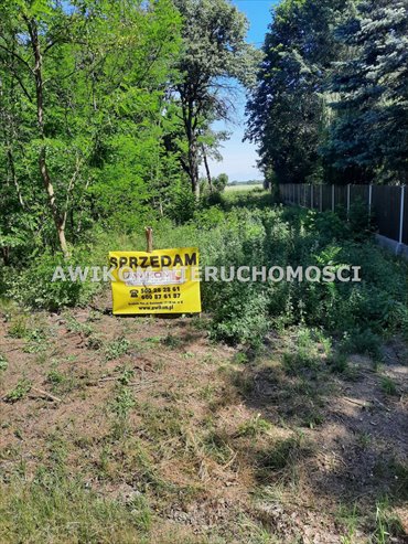 Polecam działkę 3006 m² w Grabowie nad Pilicą działka Grabów nad Pilicą, Nowa Wola