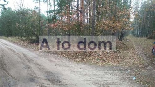 Działka leśno-budowlana 16 356 m² z planem zagospodarowania polecam działka Rżyska
