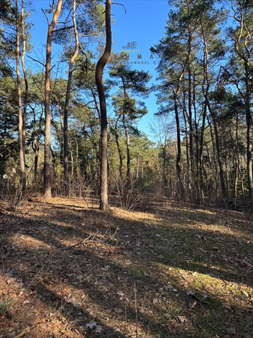 Na sprzedaż działka 1438 m² w Grotnikach z warunkami zabudowy działka Grotniki
