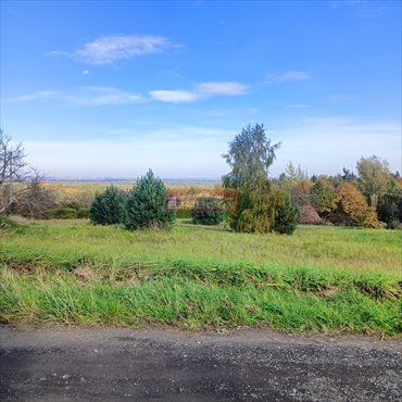 działka na sprzedaż 2825m2 działka Dąbrowa