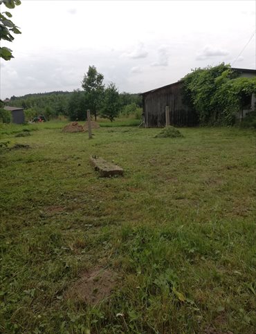 Działka budowlana na sprzedaż Ciosowa, Ciosowa 1 950m2 Foto 5