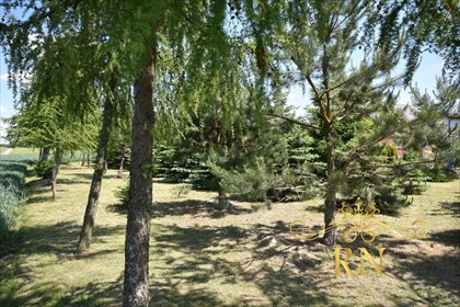Działka siedliskowa na sprzedaż Kolonia Bystrzyca 1 300m2 Foto 3