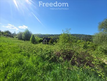 Działka 1460 m² w malowniczych Śleszowicach — cisza i natura działka Śleszowice