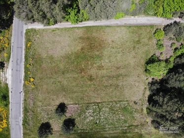 Działka rekreacyjna na sprzedaż Nowy Janów 3 818m2 Foto 5