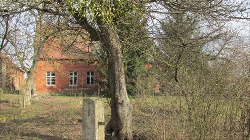 Dom na sprzedaż Dobiegniew 130m2 Foto 2