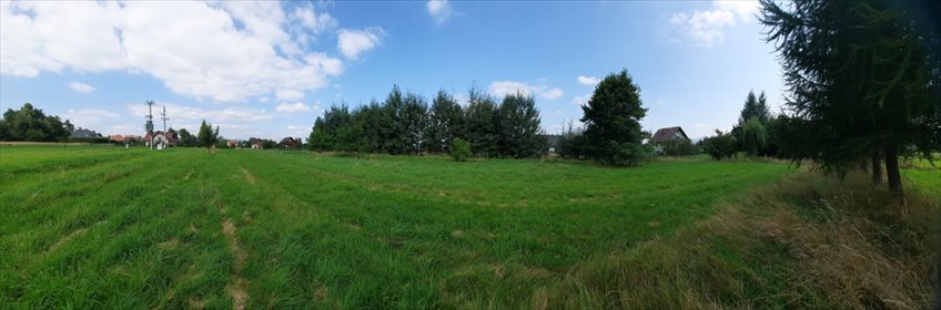 Działka budowlana na sprzedaż Leśna 7 700m2 Foto 7