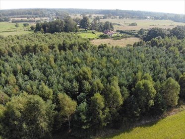 działka na sprzedaż Łęczyce Przystanek autobusowy Szkoła podstawowa Ulica os xxx 23100 m2