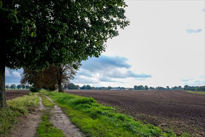 Działka z potencjałem – Sławno | Bobrowiczki działka Bobrowiczki
