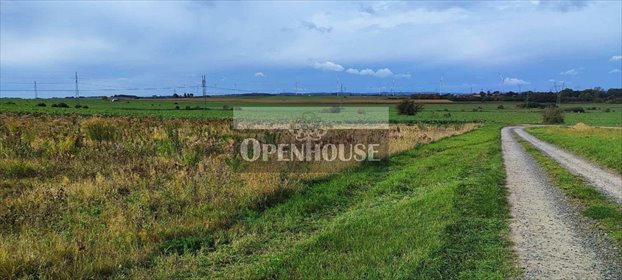 działka na sprzedaż 4700m2 działka Słone