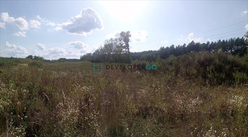 działka na sprzedaż 5000m2 działka Krusze, Marecka