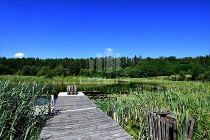 działka na sprzedaż 4186m2 działka Starogard Gdański