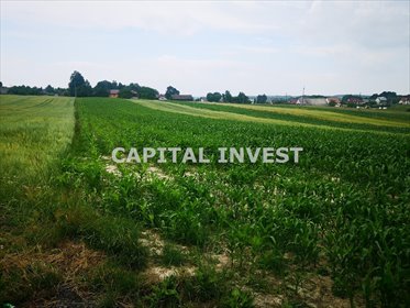 Na sprzedaż działka 800 m² pod zabudowę i usługi w Gierałtowicach działka Gierałtowice