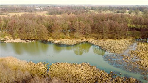 działka na sprzedaż 9670m2 działka Arciechów