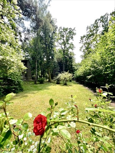 działka na sprzedaż 3001m2 działka Piaseczno, Piaseczno, Dębowa