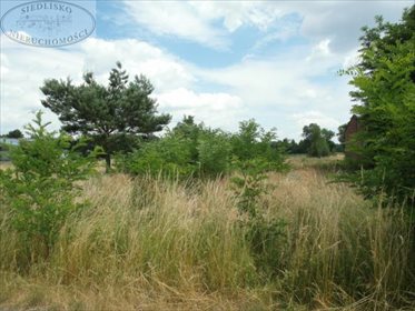 Działka budowlana na sprzedaż Podbolesławiec 3 660m2 Foto 1