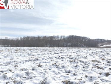 działka na sprzedaż 3600m2 działka Wałbrzych, Lubiechów