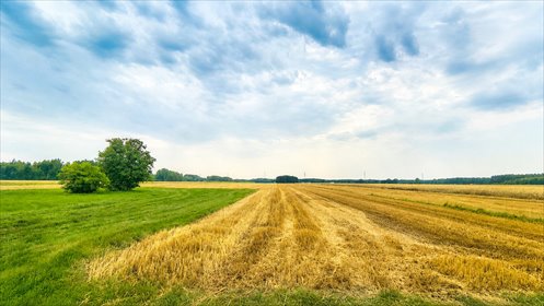 Ziemia rolna w miejscowości Dąbrowa Miętka 3,33ha działka Złoczew