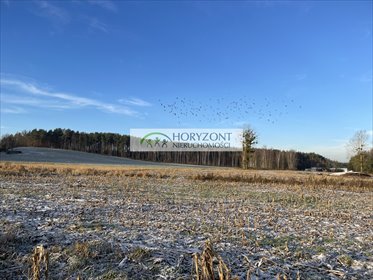 działka na sprzedaż 1030m2 działka Bojano