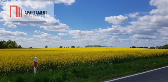 Sprzedam działkę rolną 10 564 m² z możliwością podziału działka Lisiny