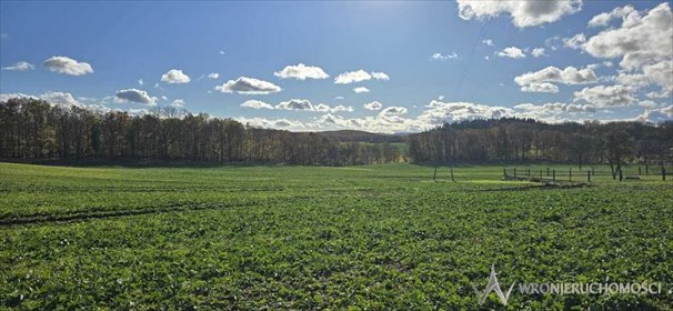 działka na sprzedaż 1000m2 działka Jakuszowa