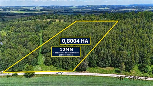 Sprzedam działkę 8 004 m² z lasem i mikroklimatem w Kopańcu działka Kopaniec