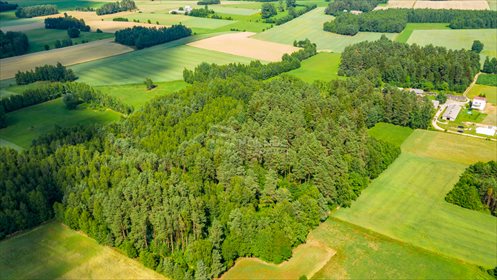 Działka inna na sprzedaż Chwaszczewo 27 254m2 Foto 4