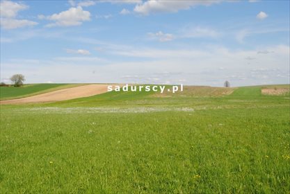 Działka rolna na sprzedaż Ściborzyce 34 334m2 Foto 2