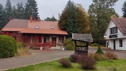 Lokal użytkowy na sprzedaż Wójtowo 1 391m2 Foto 7