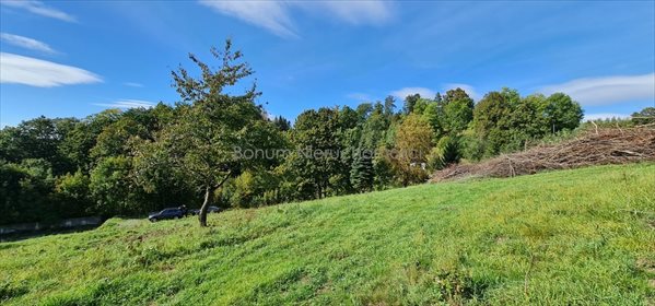 Działka inna na sprzedaż Kudowa-Zdrój, Jakubowice 1 100m2 Foto 3