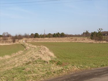 Do sprzedania atrakcyjna działka 2120 m² w otoczeniu lasu działka Miasteczko Śląskie