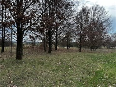 Na sprzedaż działka 1600 m² w Niegowonicach z dostępem do infrastruktury działka Niegowonice, Dąbrowska